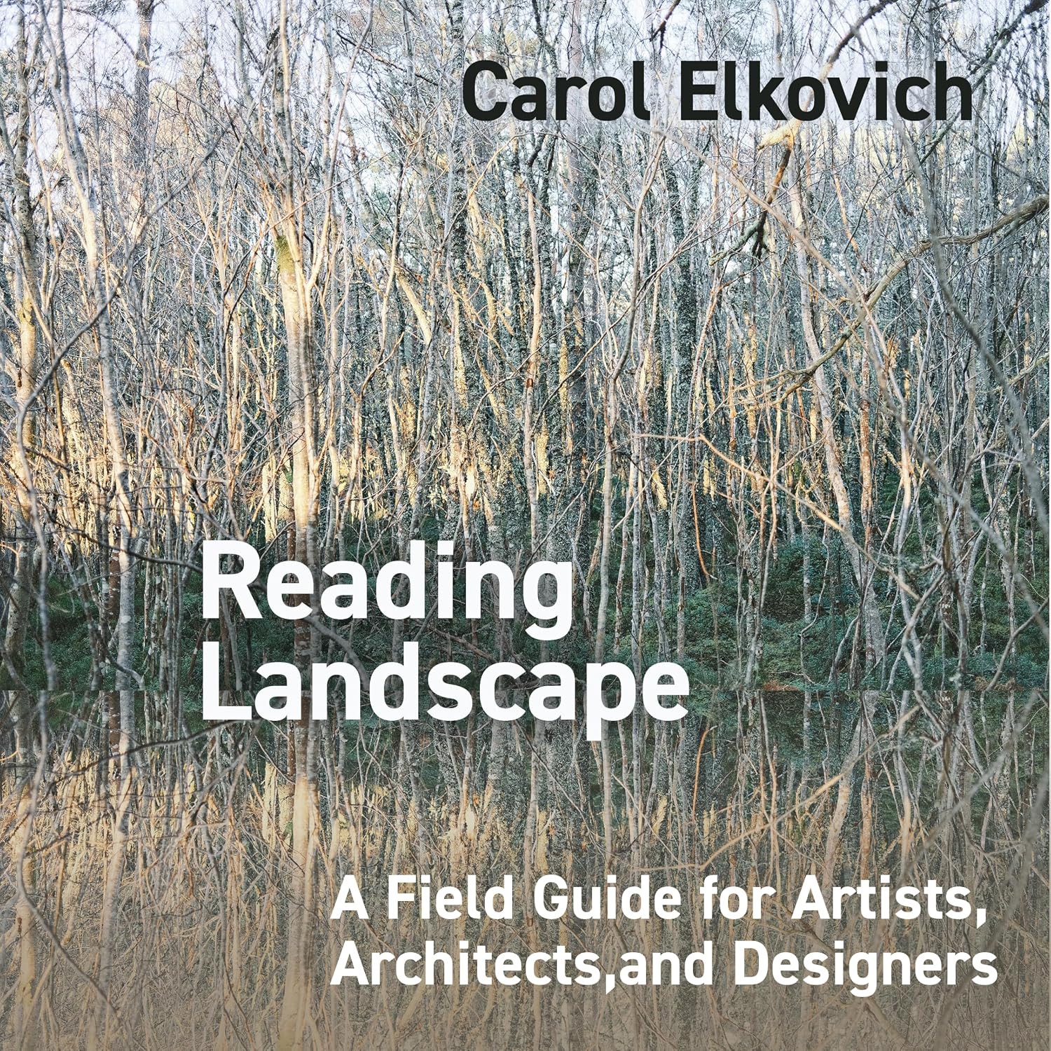 Reading Landscape: A Field Guide for Artists, Architects, and Designers (English Edition) baixar o livro de graça