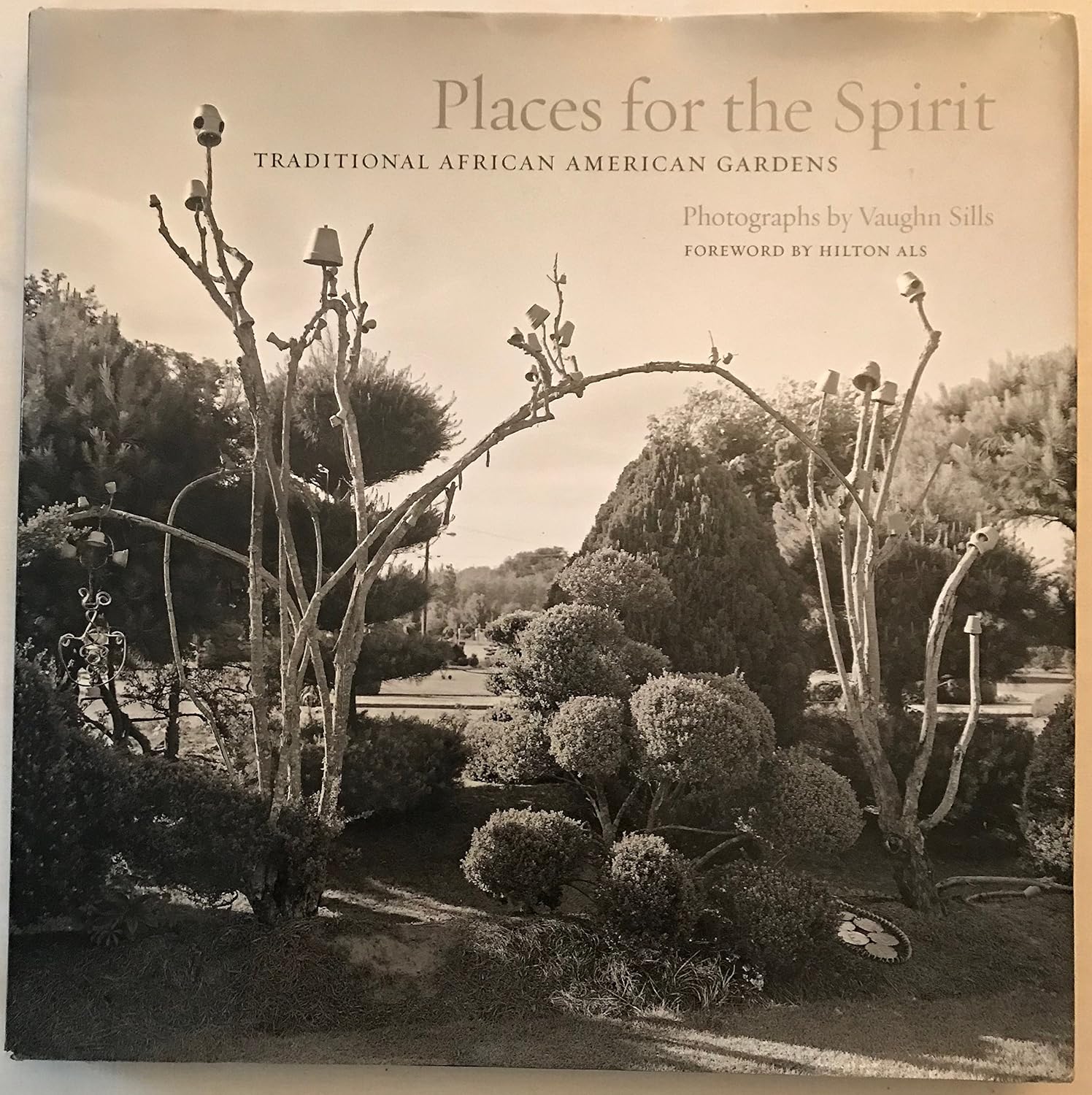 Places for the Spirit: Traditional African American Gardens baixar o livro de graça