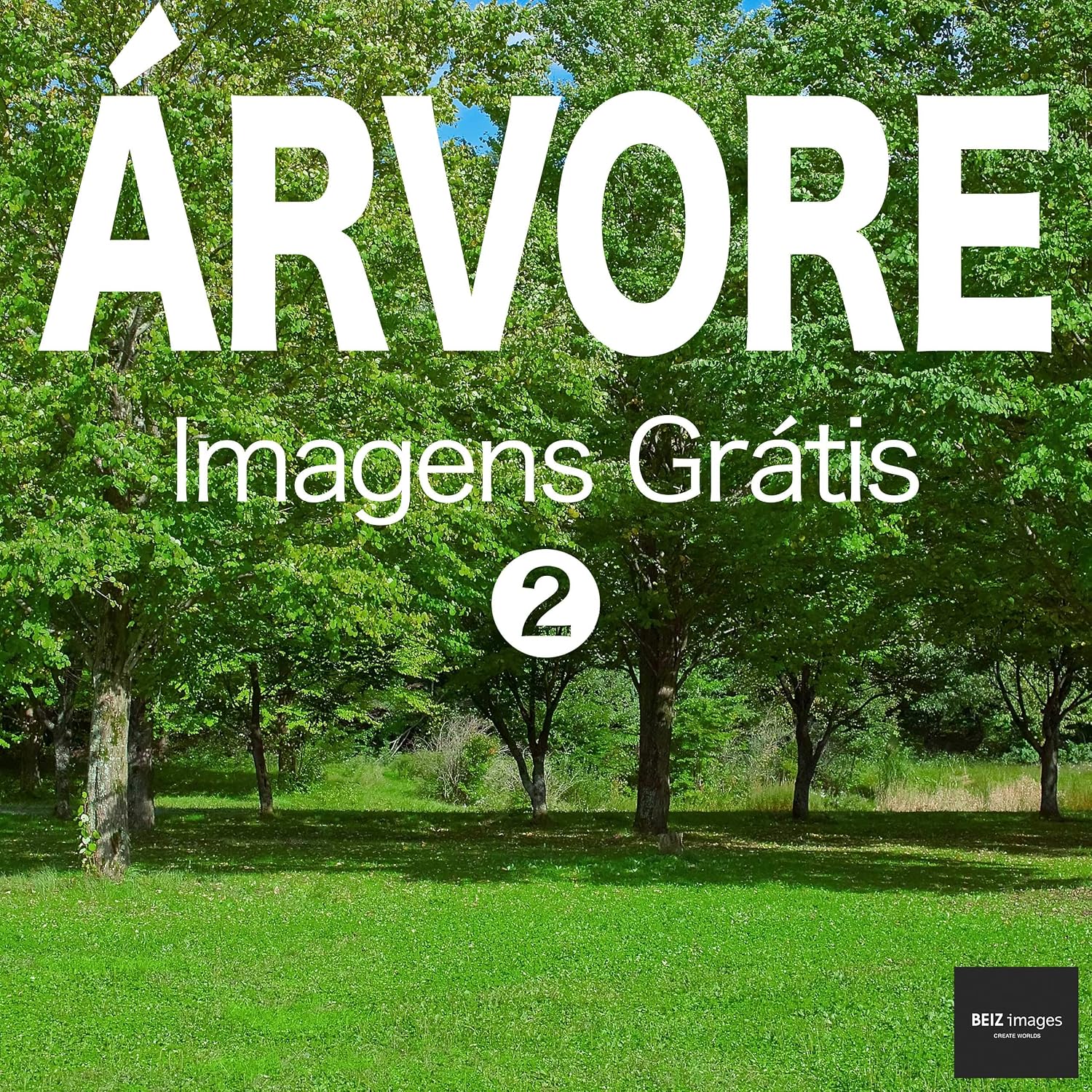 ÁRVORE Imagens Grátis 2 BEIZ images - Fotos Grátis baixar o livro de graça