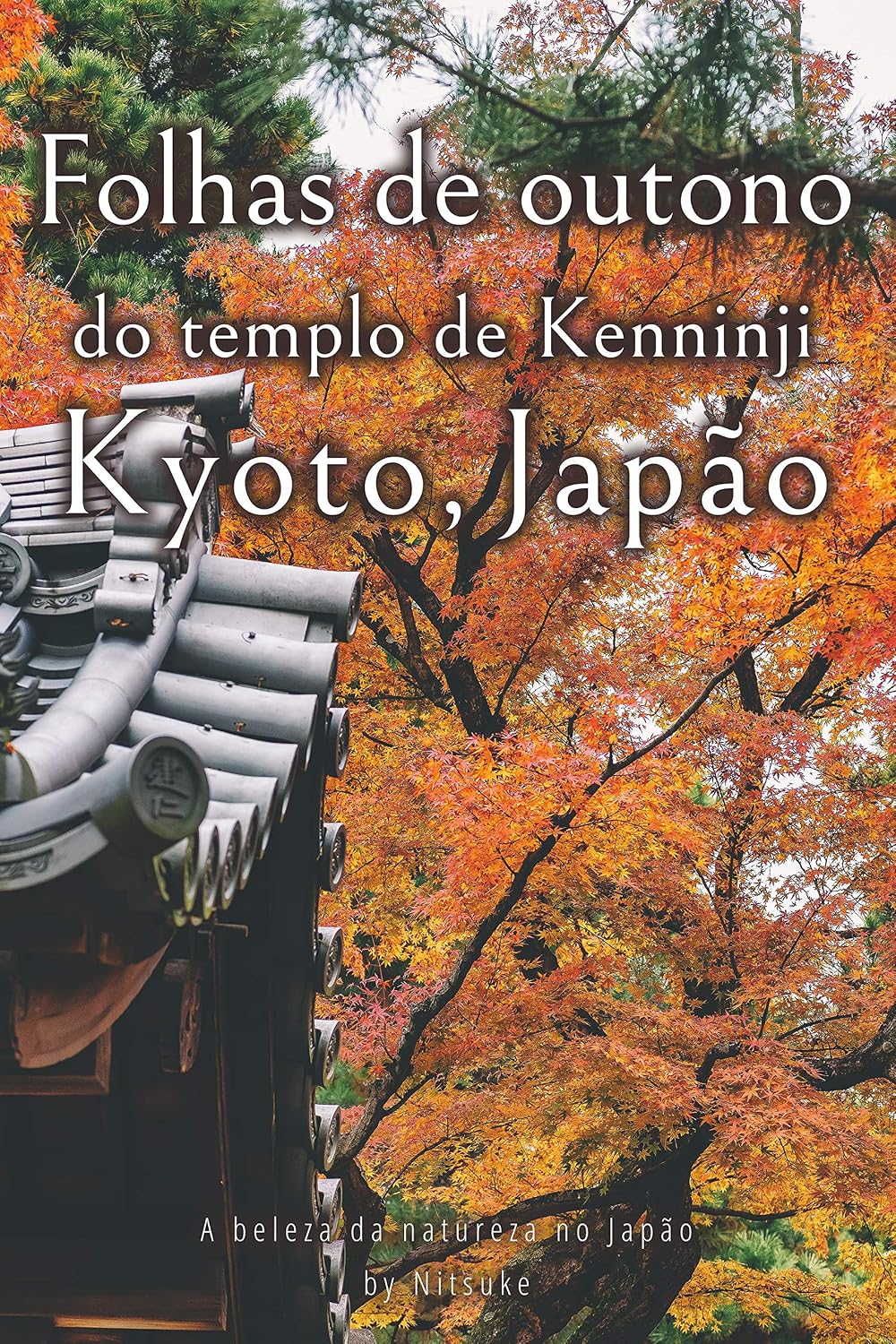 capítulo por capítulo baixar Folhas de outono do templo de Kenninji Kyoto, Japão (A beleza da natureza no Japão Livro 4)