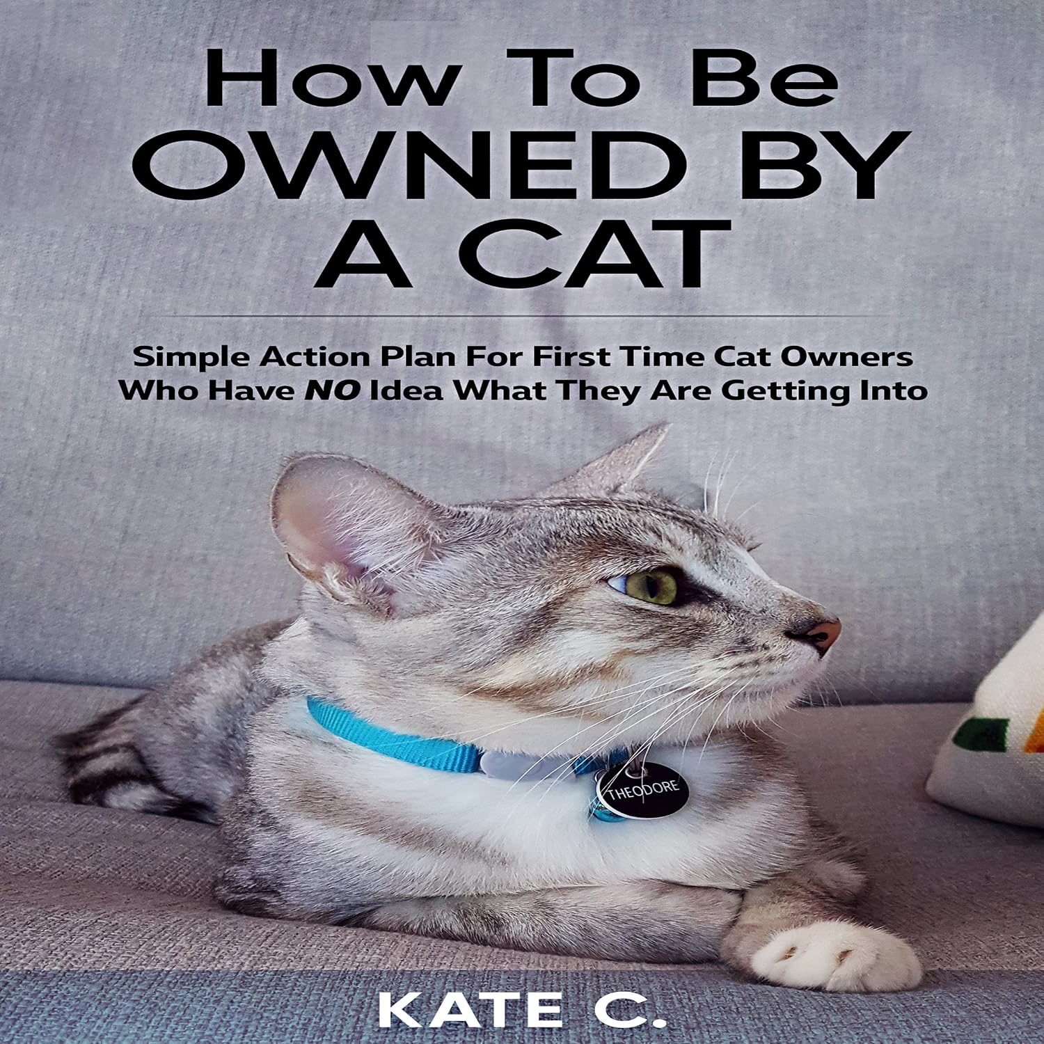 capítulo por capítulo baixar How to Be Owned by a Cat: Simple Action Plan for First Time Cat Owners Who Have No Idea What They Are Getting Into