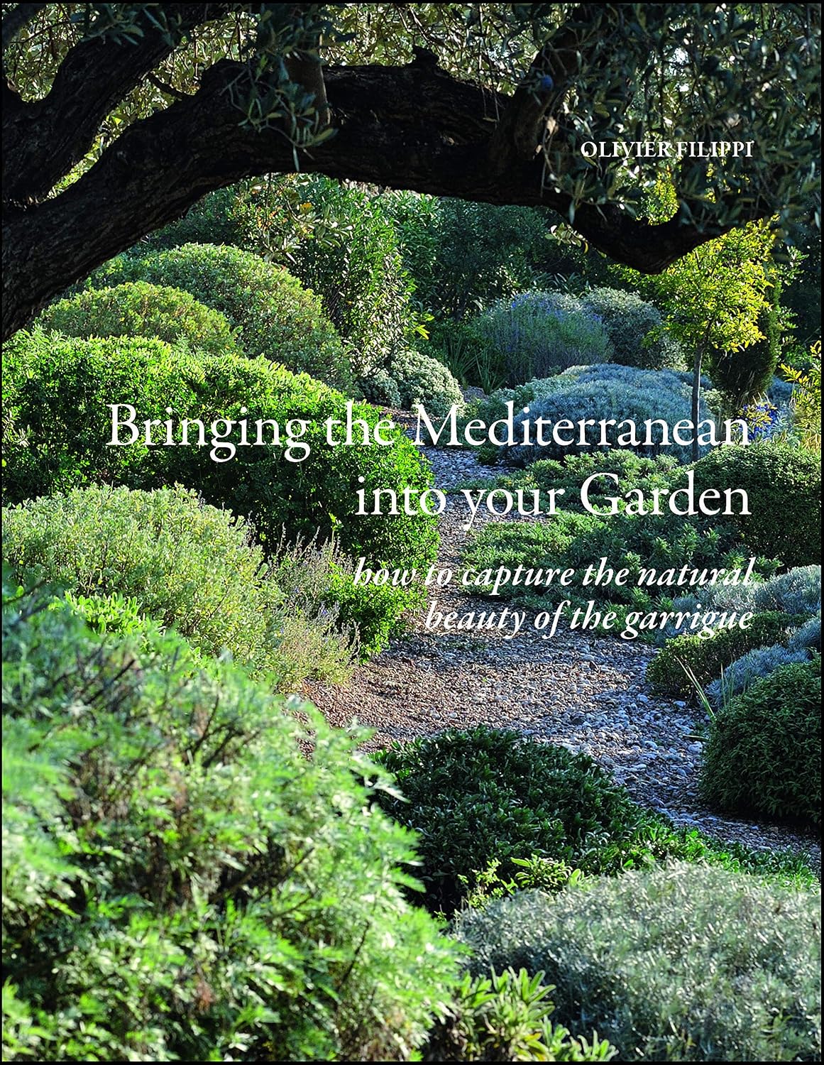 Bringing the Mediterranean Into Your Garden: How to Capture the Natural Beauty of the Mediterranean Garrigue baixar livro de graça