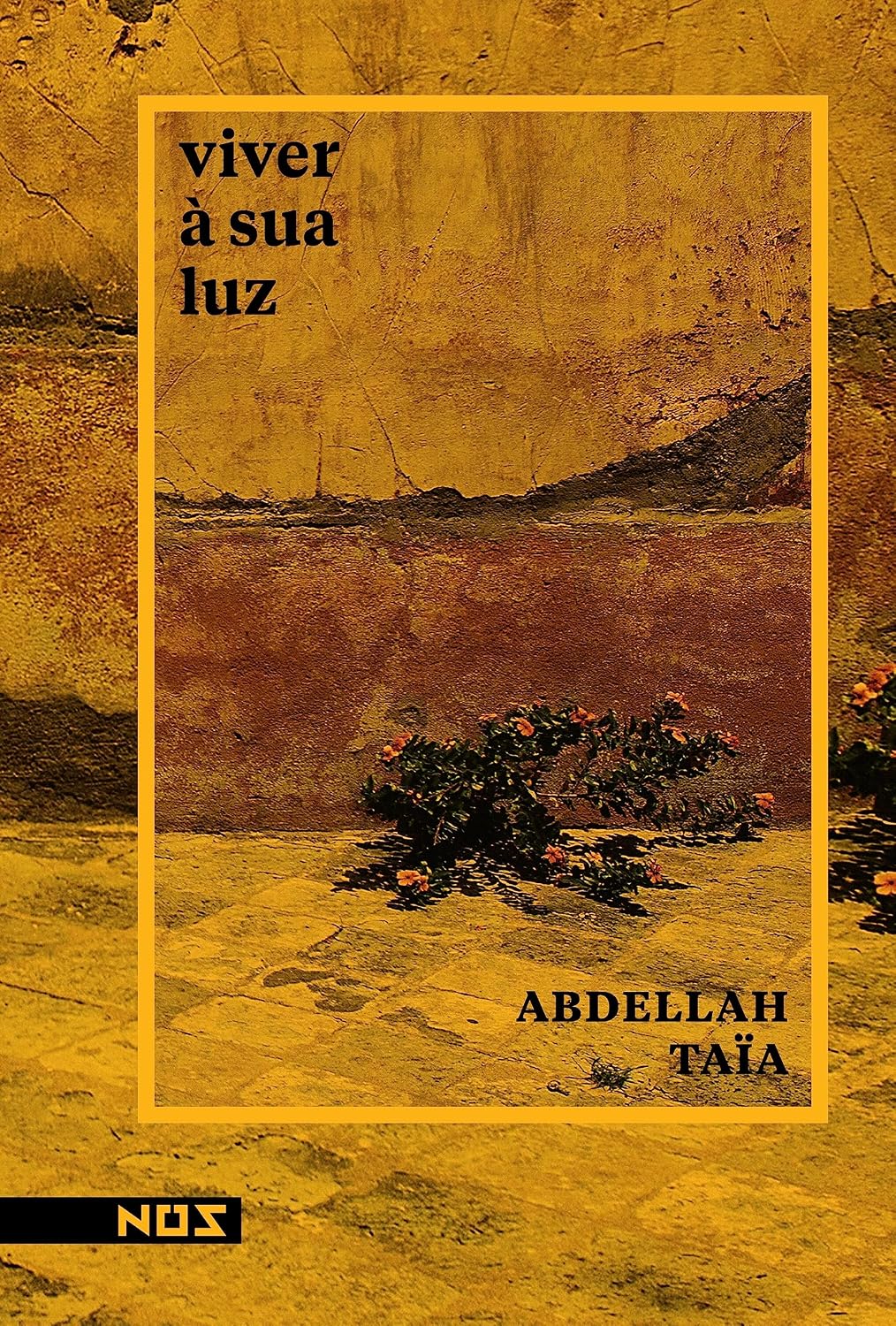 Viver à sua luz baixar o livro de graça