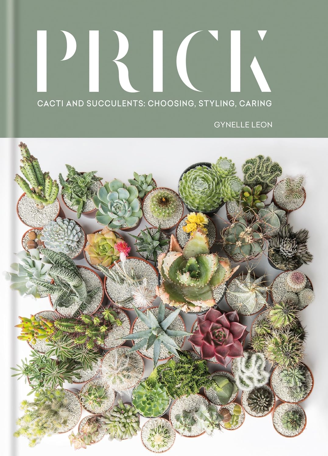 Prick: Cacti and Succulents: Choosing, Styling, Caring (English Edition) baixar o livro de graça