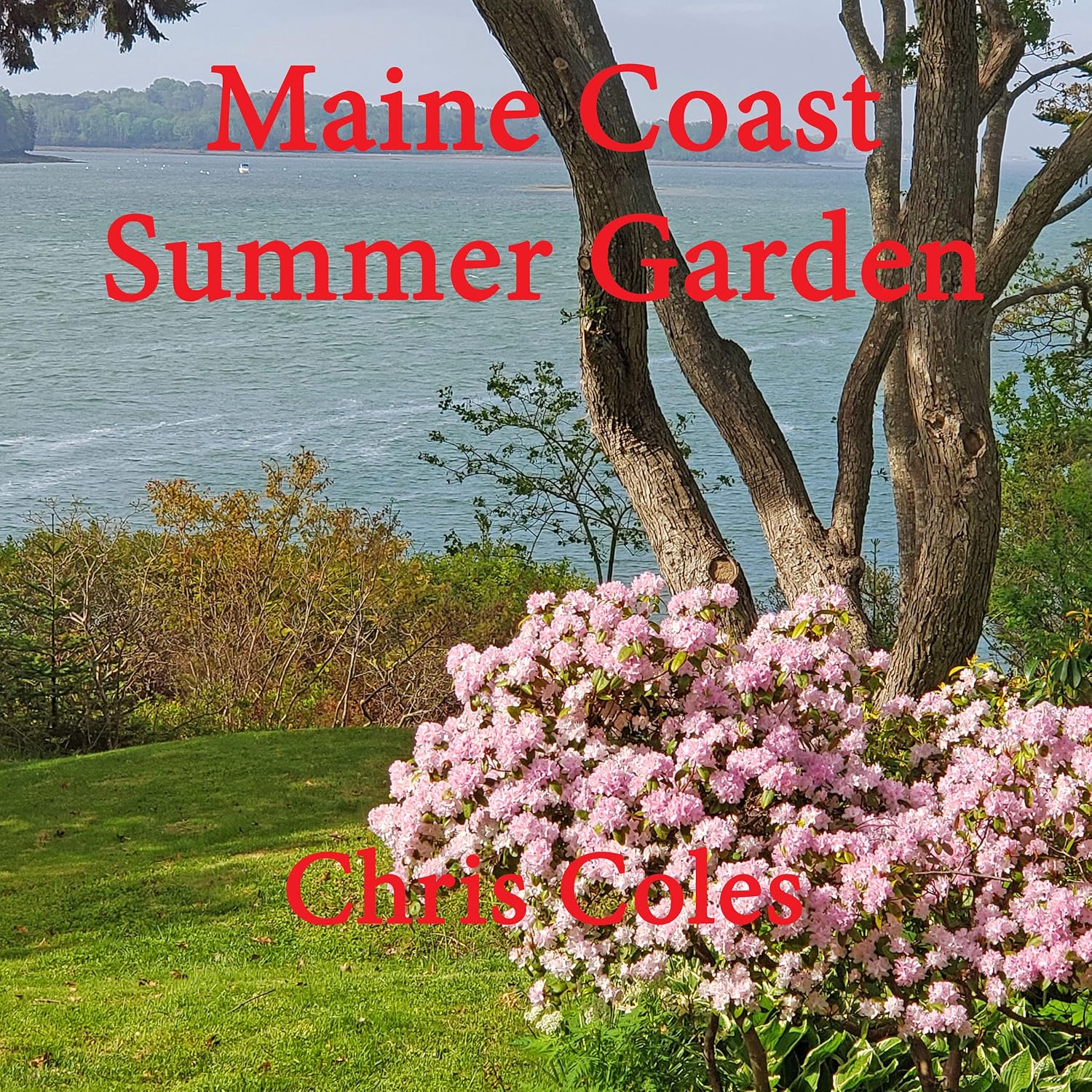 Maine Coast Summer Garden (English Edition) baixar livro de graça