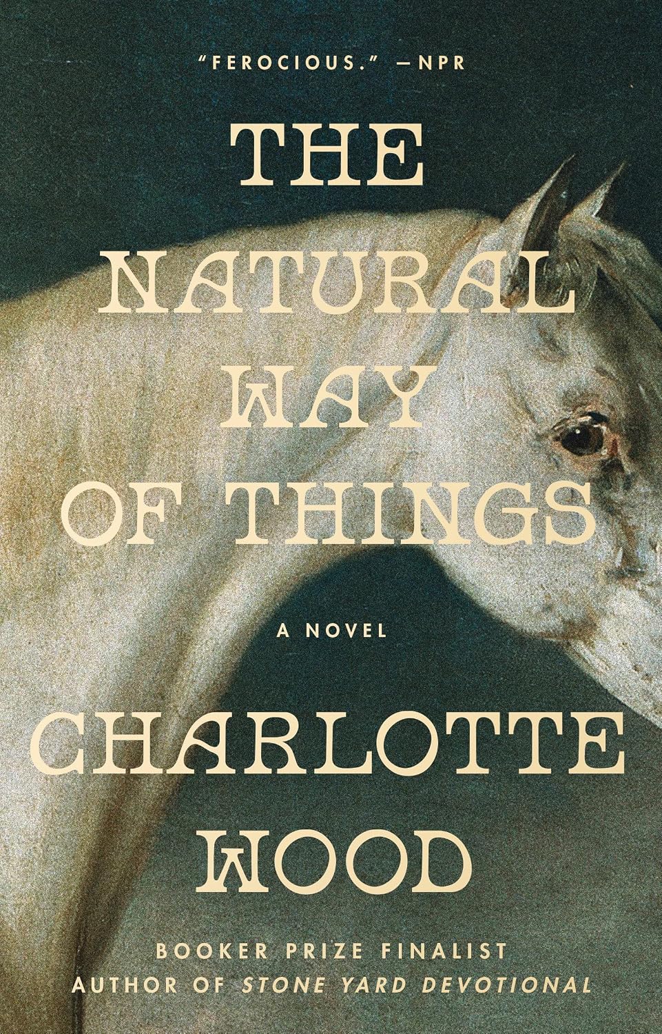 The Natural Way of Things: A Novel (English Edition) baixar o livro de graça