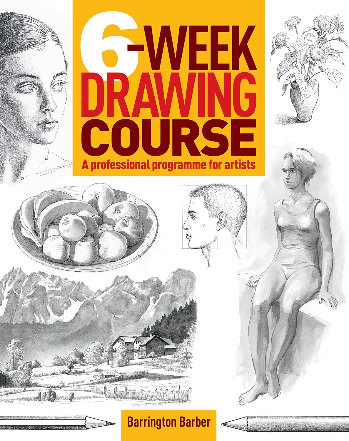 6-Week Drawing Course (English Edition) baixar livro de graça