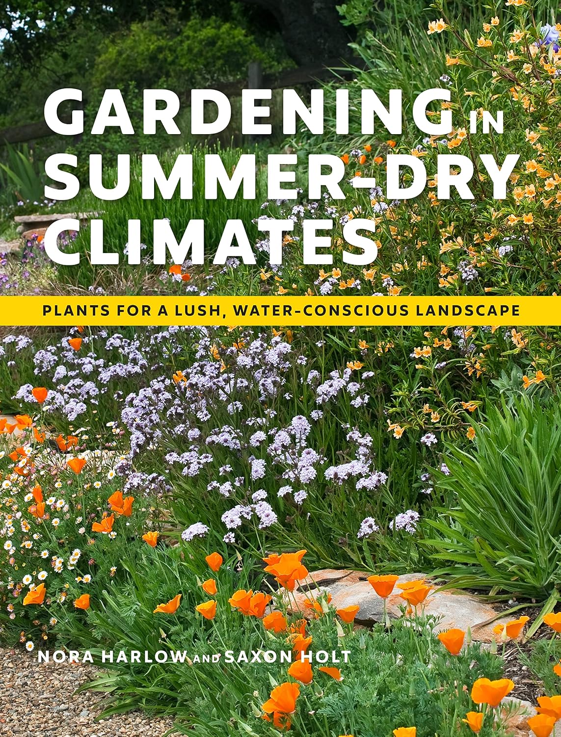 Gardening in Summer-Dry Climates: Plants for a Lush, Water-Conscious Landscape (English Edition) baixar o livro de graça