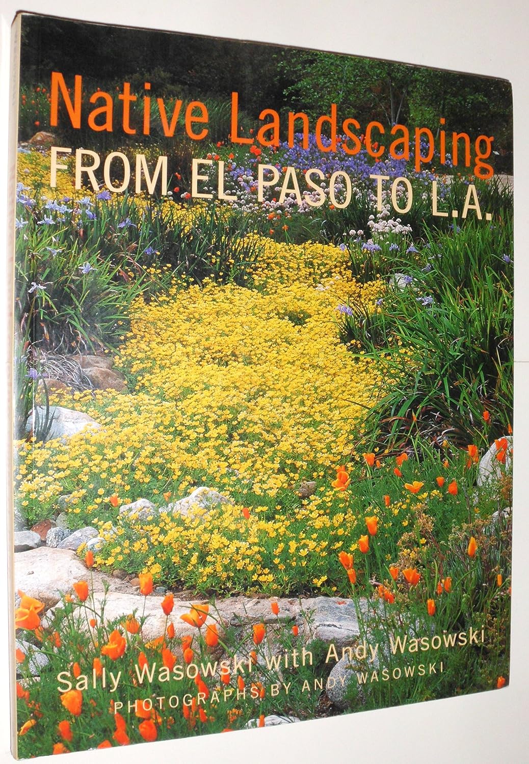 Native Landscaping From El Paso to L.A. baixar livro de graça