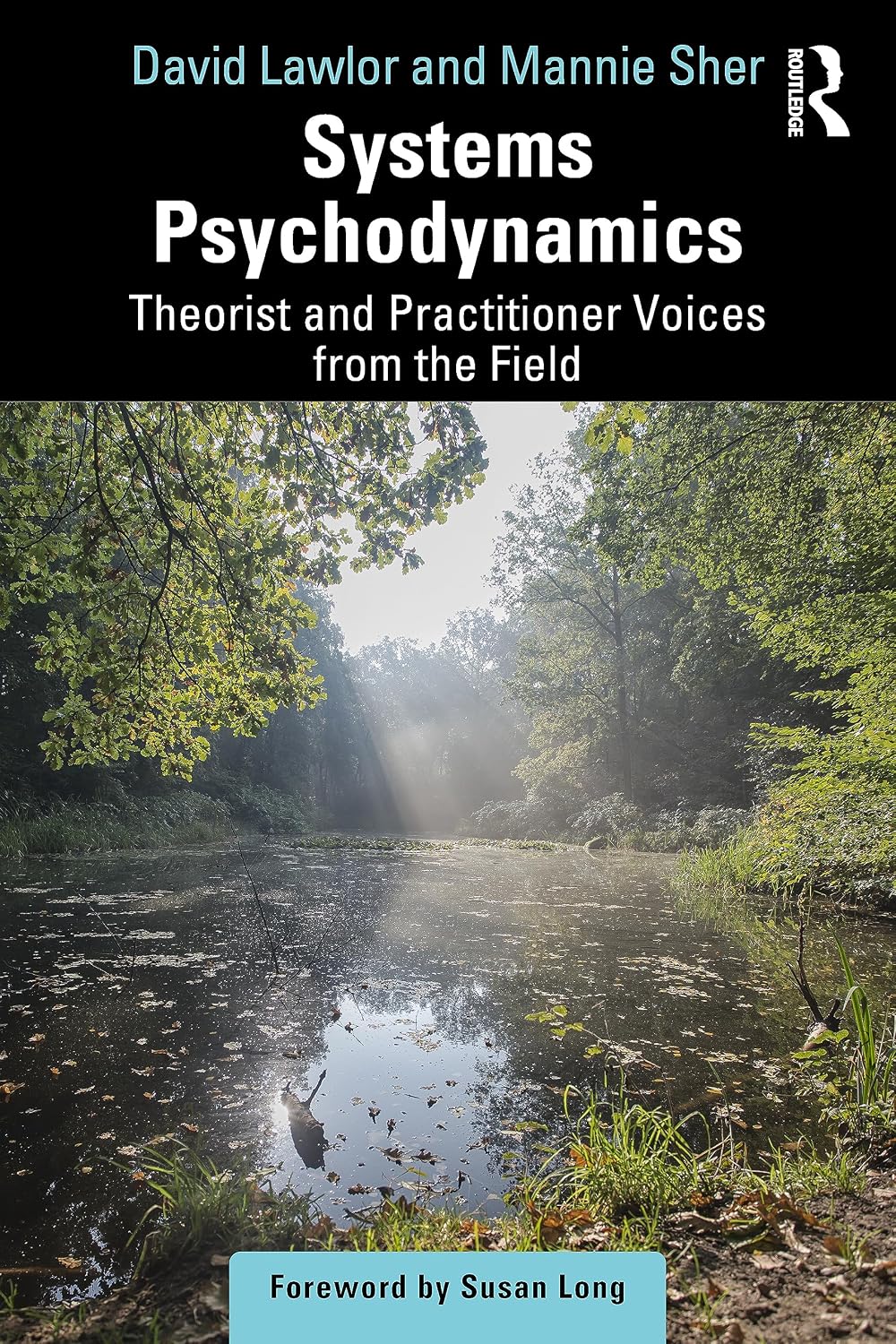 capítulo por capítulo baixar Systems Psychodynamics: Theorist and Practitioner Voices from the Field