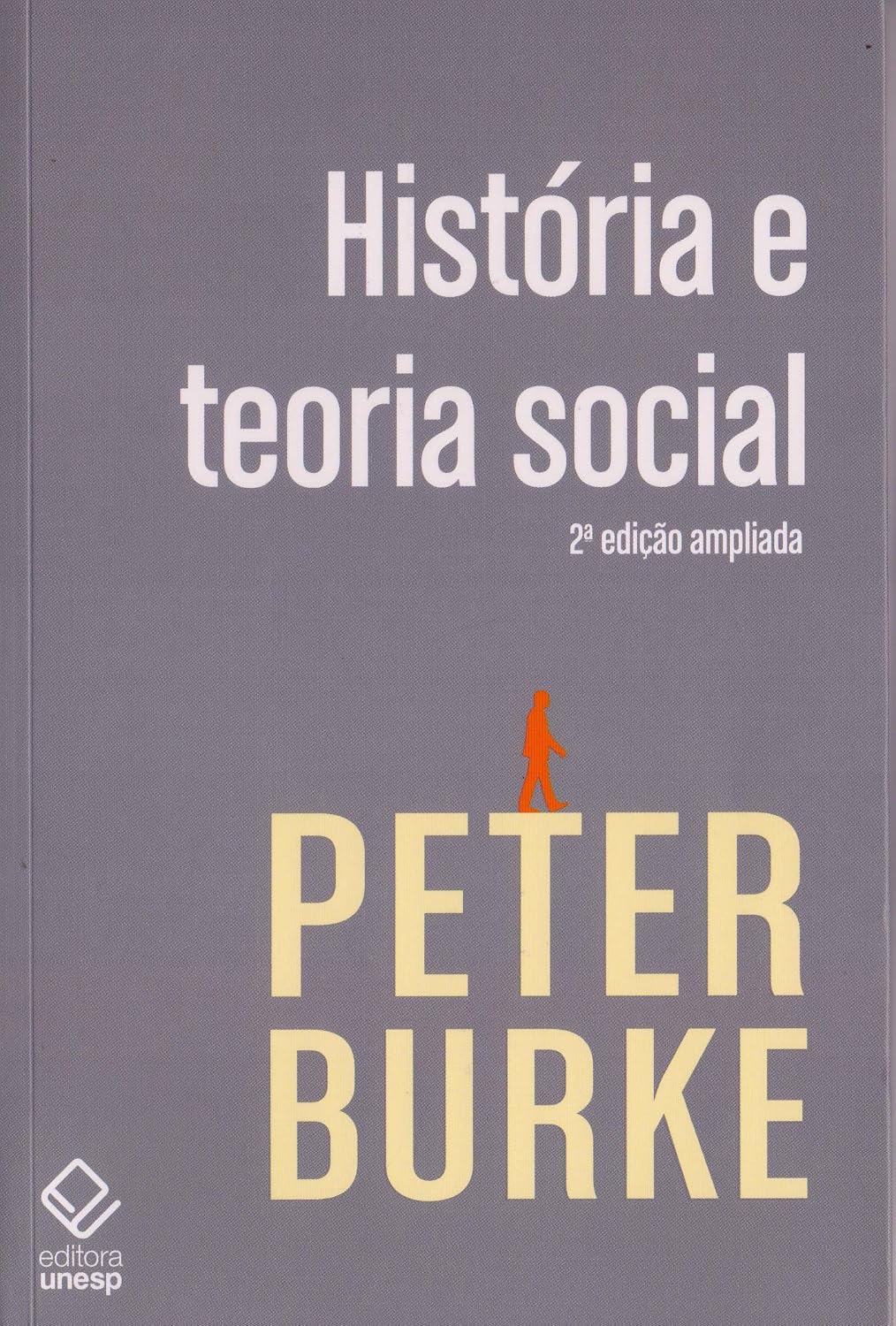 capítulo por capítulo baixar História e teoria social - 2ª edição
