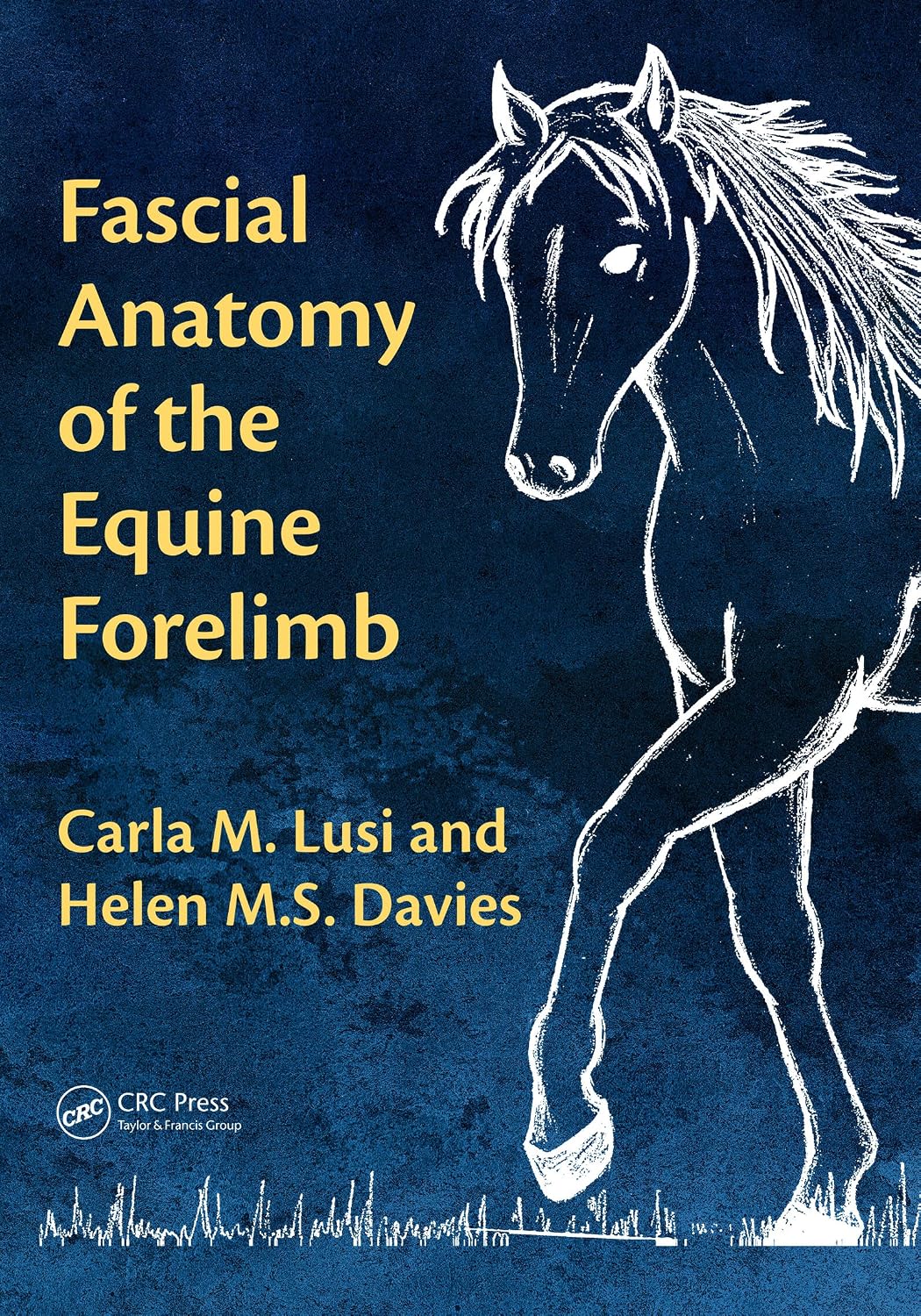 ler totalmente Fascial Anatomy of the Equine Forelimb (English Edition)
