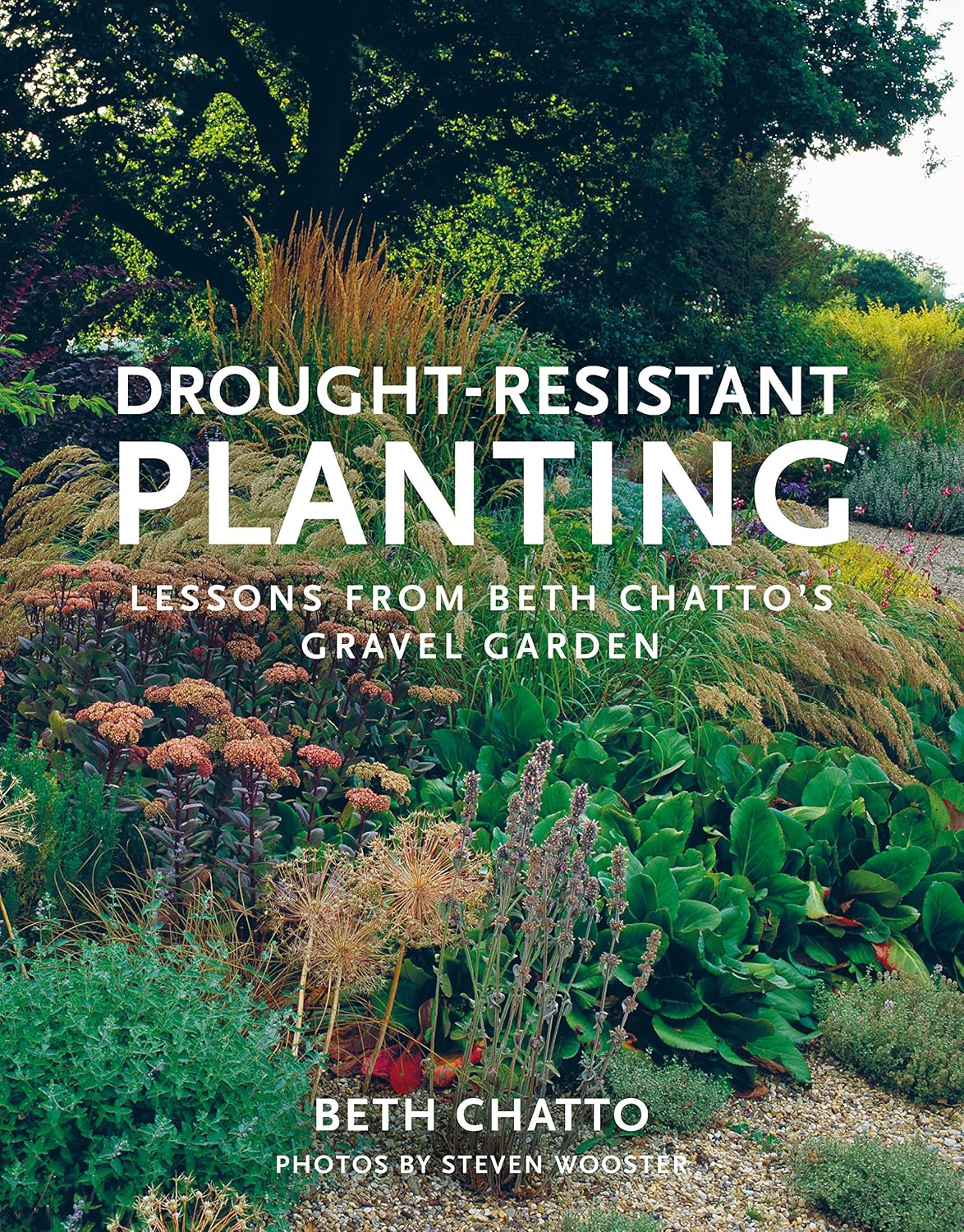 ler totalmente Drought-Resistant Planting: Lessons from Beth Chatto's Gravel Garden