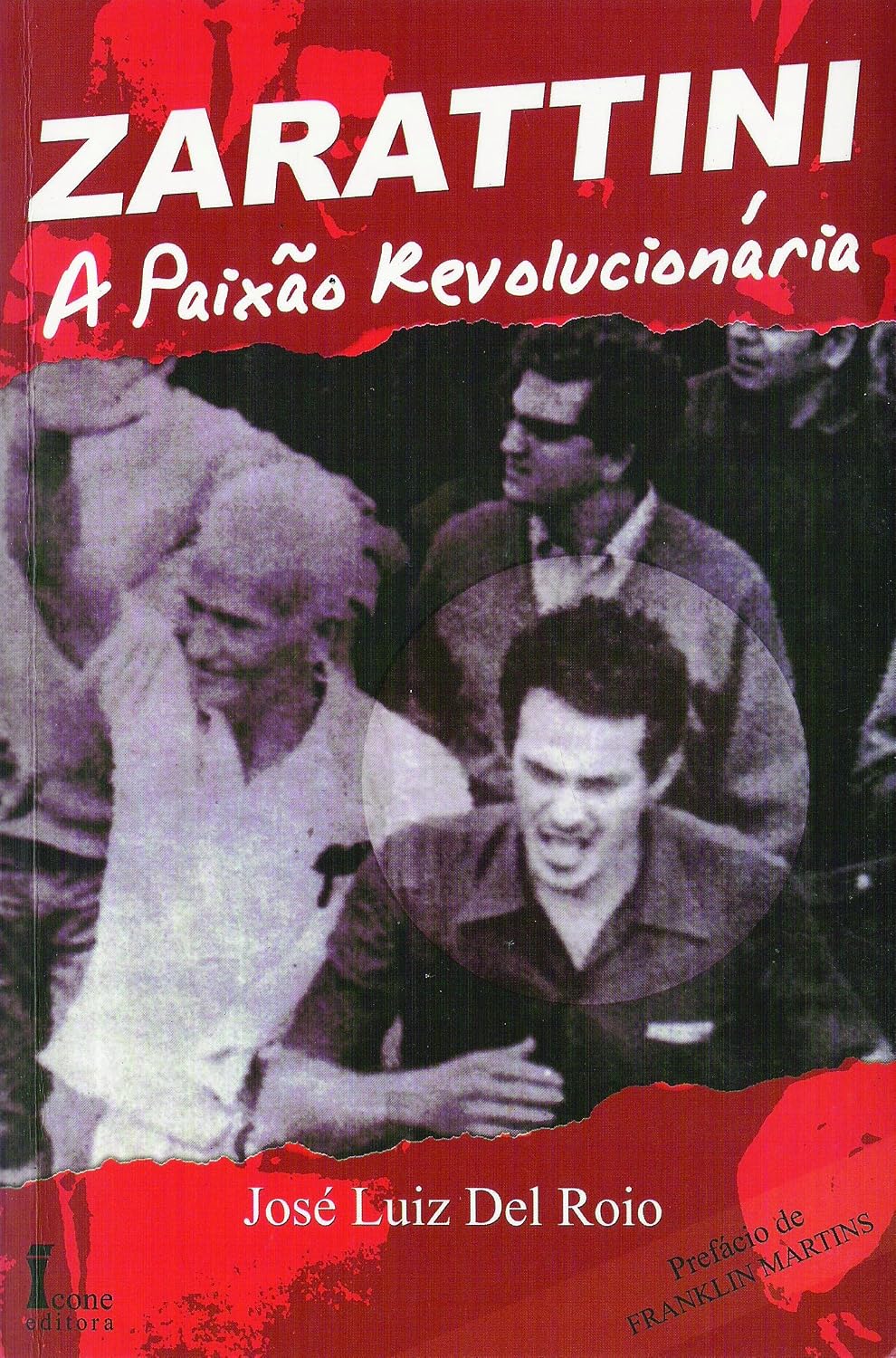 Zarattini. a paixão revolucionária baixar o livro de graça