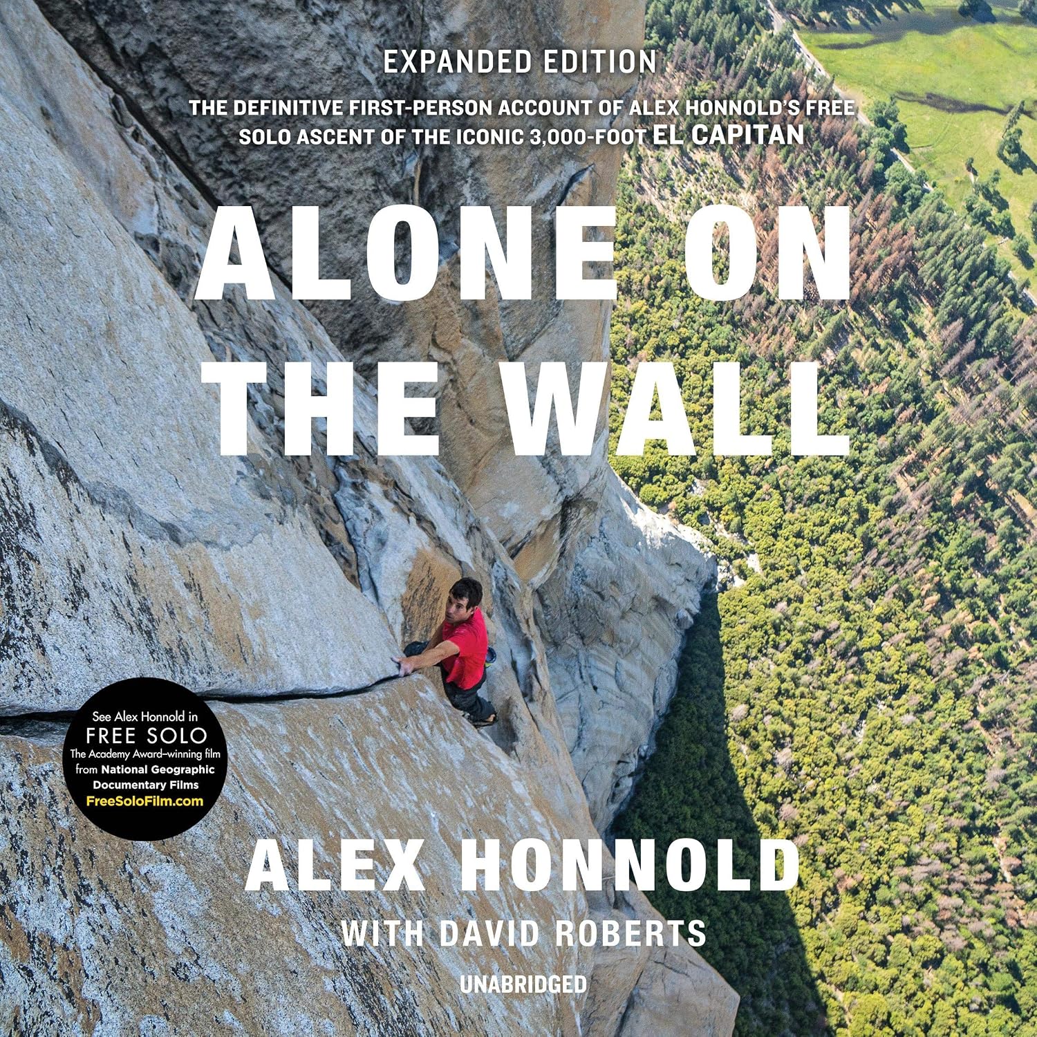 Alone on the Wall, Expanded Edition baixar livro de graça