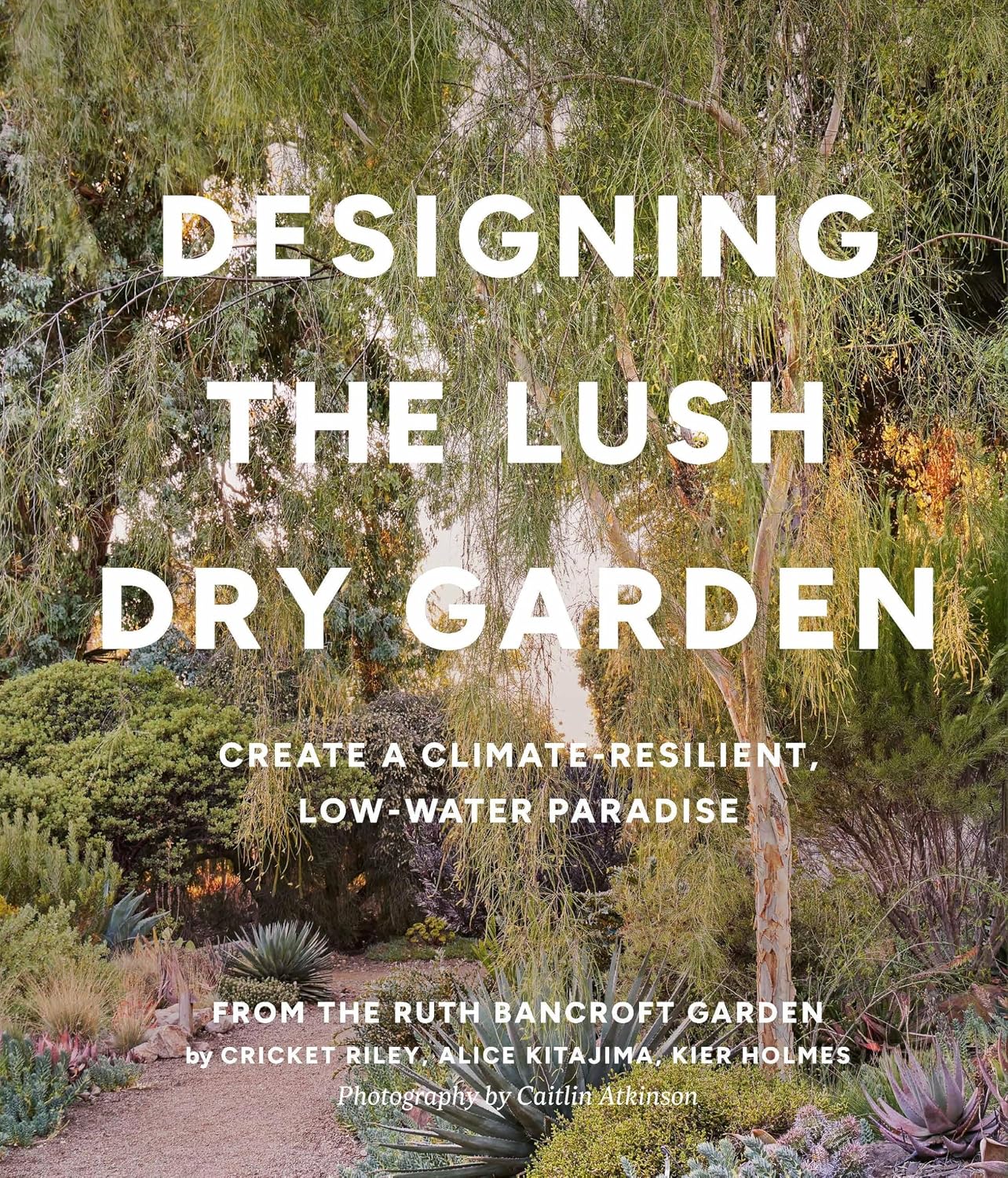 Designing the Lush Dry Garden: Create a Climate-Resilient, Low-Water Paradise (English Edition) baixar o livro de graça