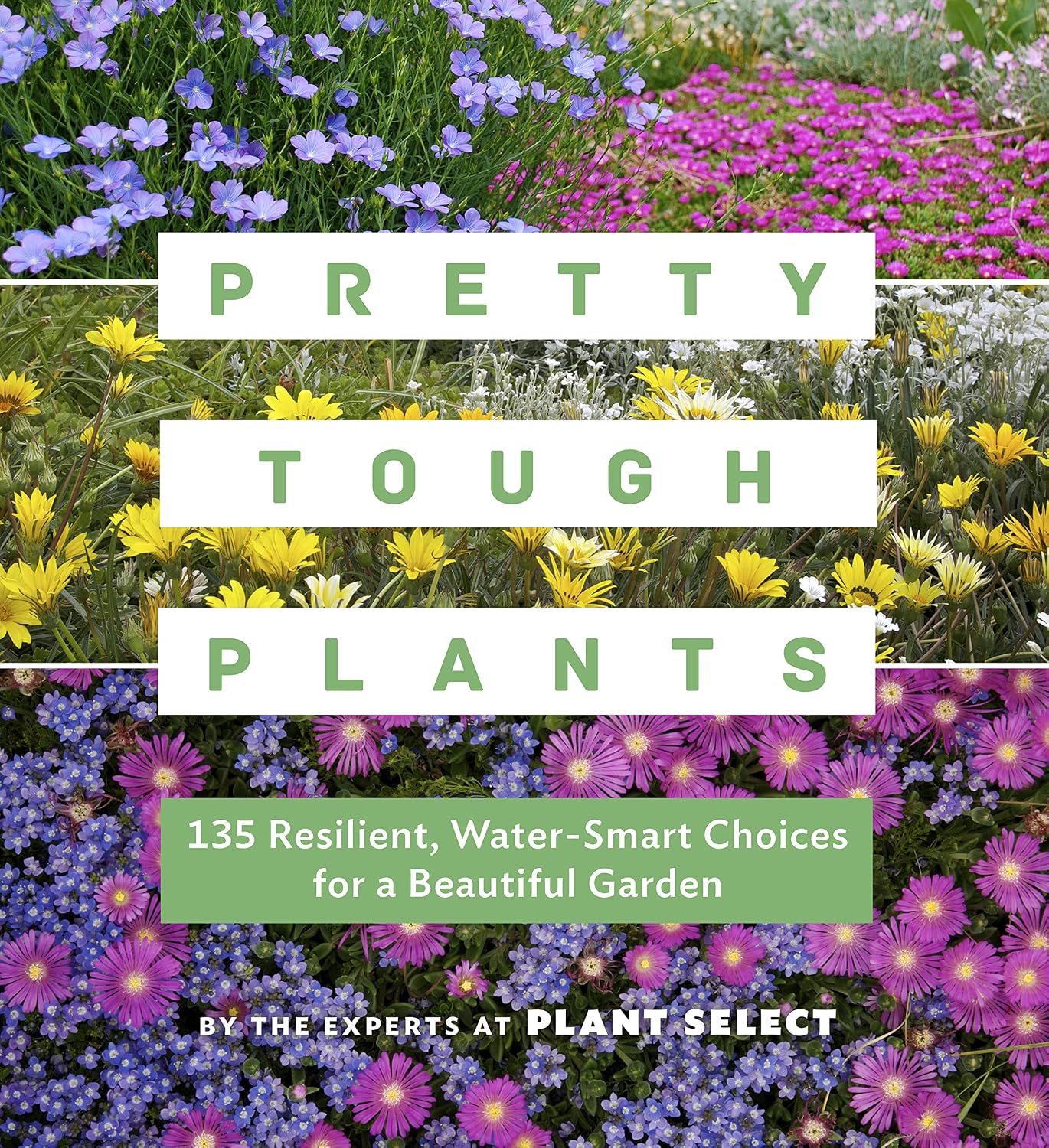 Pretty Tough Plants: 135 Resilient, Water- Smart Choices for a Beautiful Garden baixar livro de graça