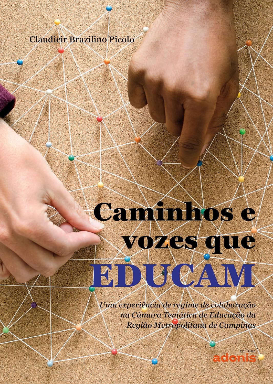 Caminhos e Vozes que Educam: Uma Experiência de Regime de Colaboração na Câmara Temática de Educação da Região Metropolitana de Campinas