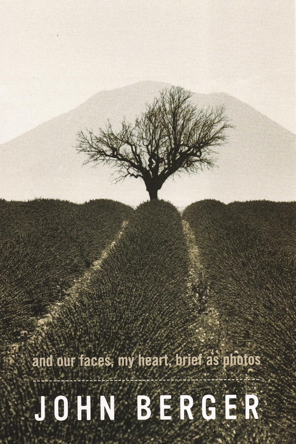 capítulo por capítulo baixar And Our Faces, My Heart, Brief As Photos (English Edition)