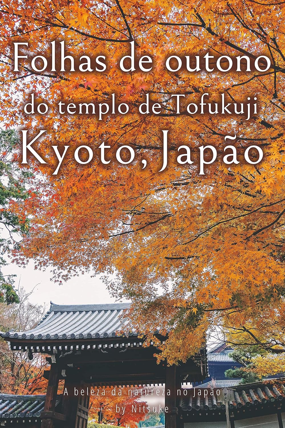 Folhas de outono do templo de Tofukuji Kyoto, Japão (A beleza da natureza no Japão Livro 5) baixar livro de graça