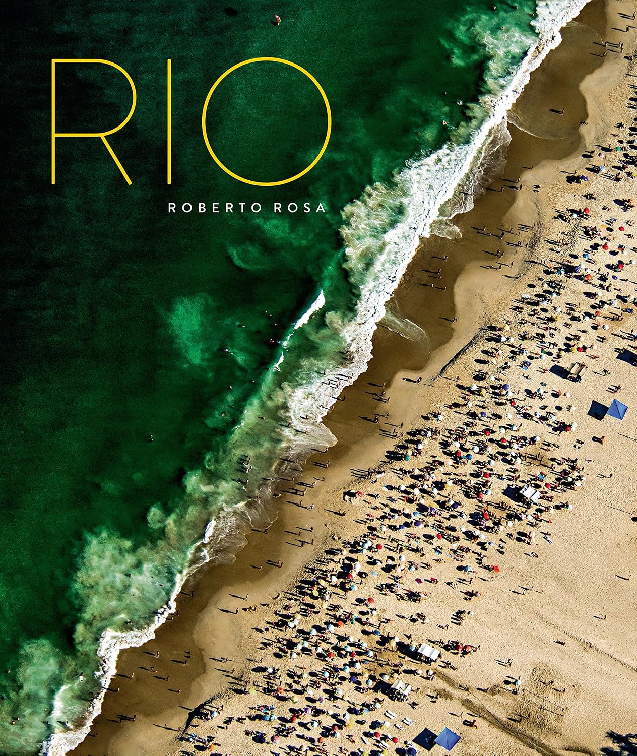 Rio baixar o livro de graça