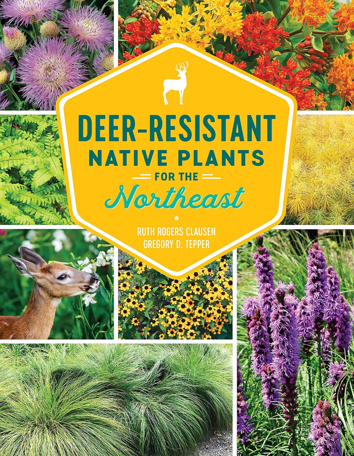 Deer-Resistant Native Plants for the Northeast (English Edition) baixar o livro de graça