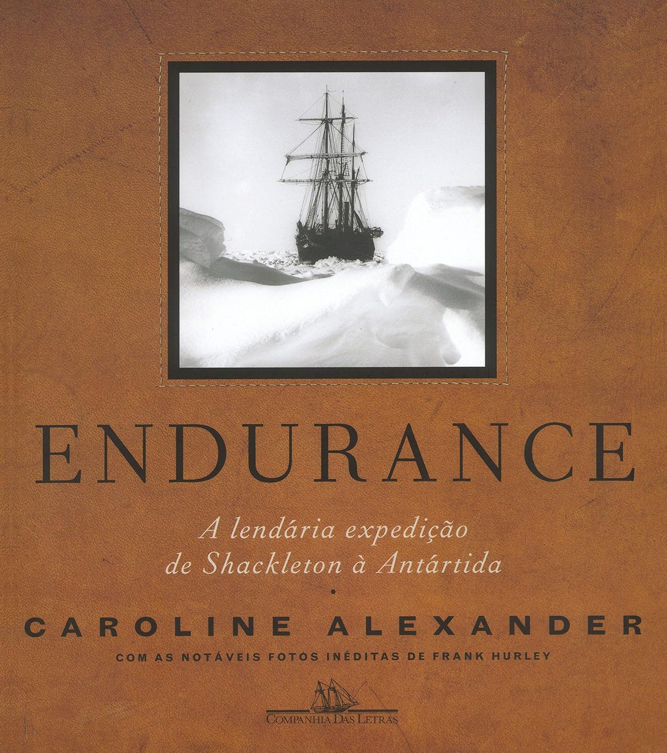 Endurance (Nova edição): A lendária expedição de Shackleton à Antártida baixar o livro de graça