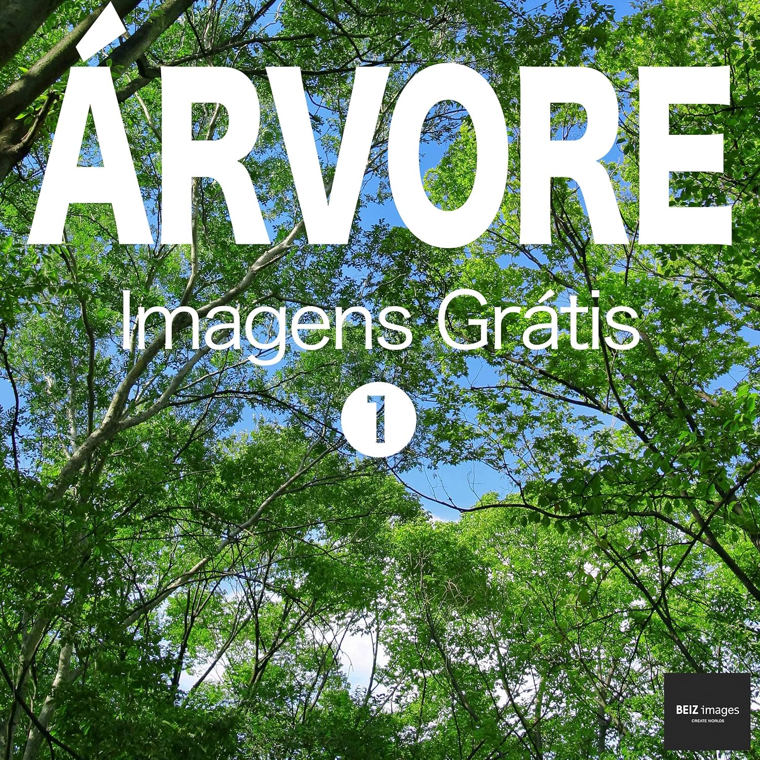 ÁRVORE Imagens Grátis 1 BEIZ images - Fotos Grátis