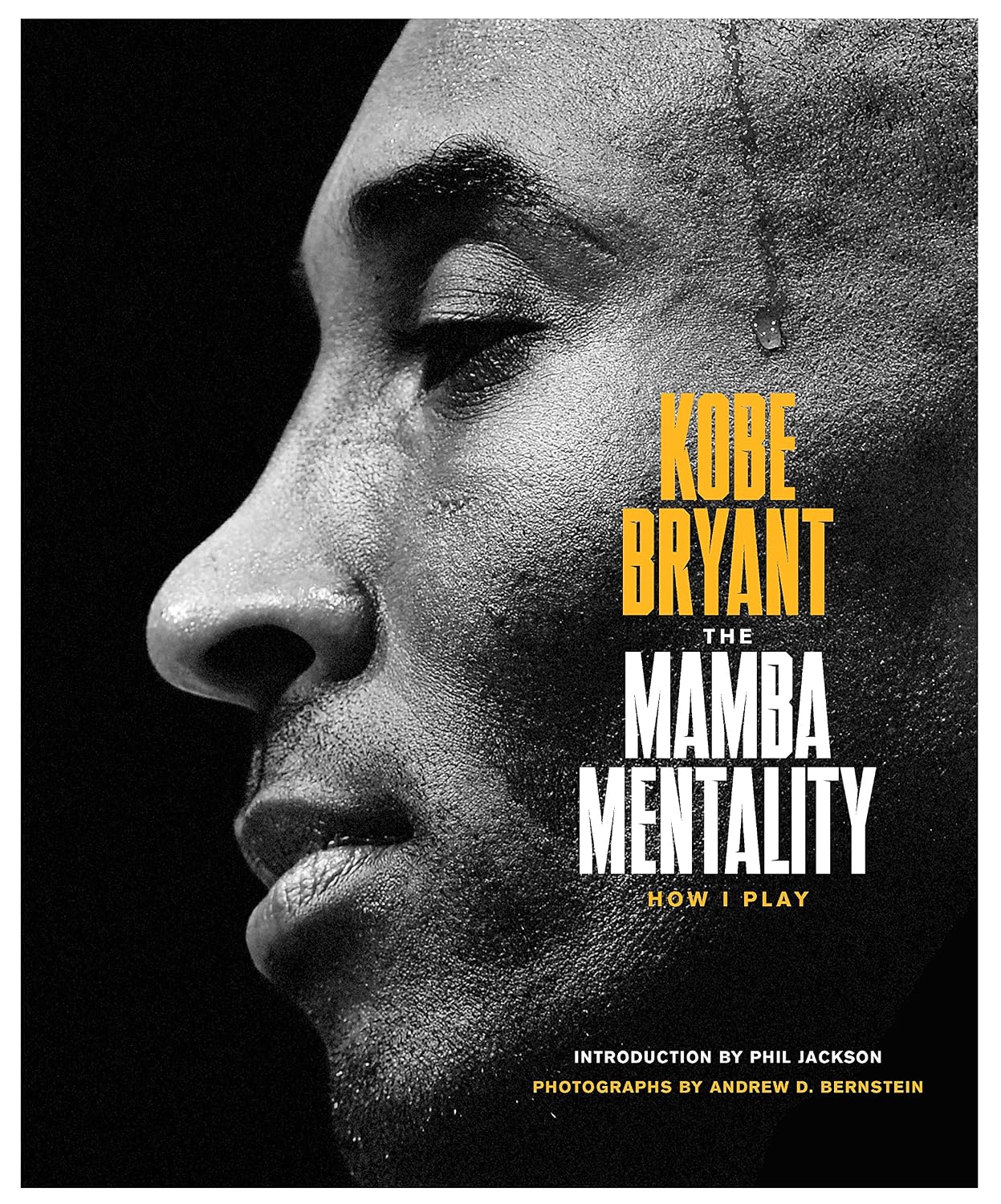 capítulo por capítulo baixar The Mamba Mentality: How I Play (English Edition)