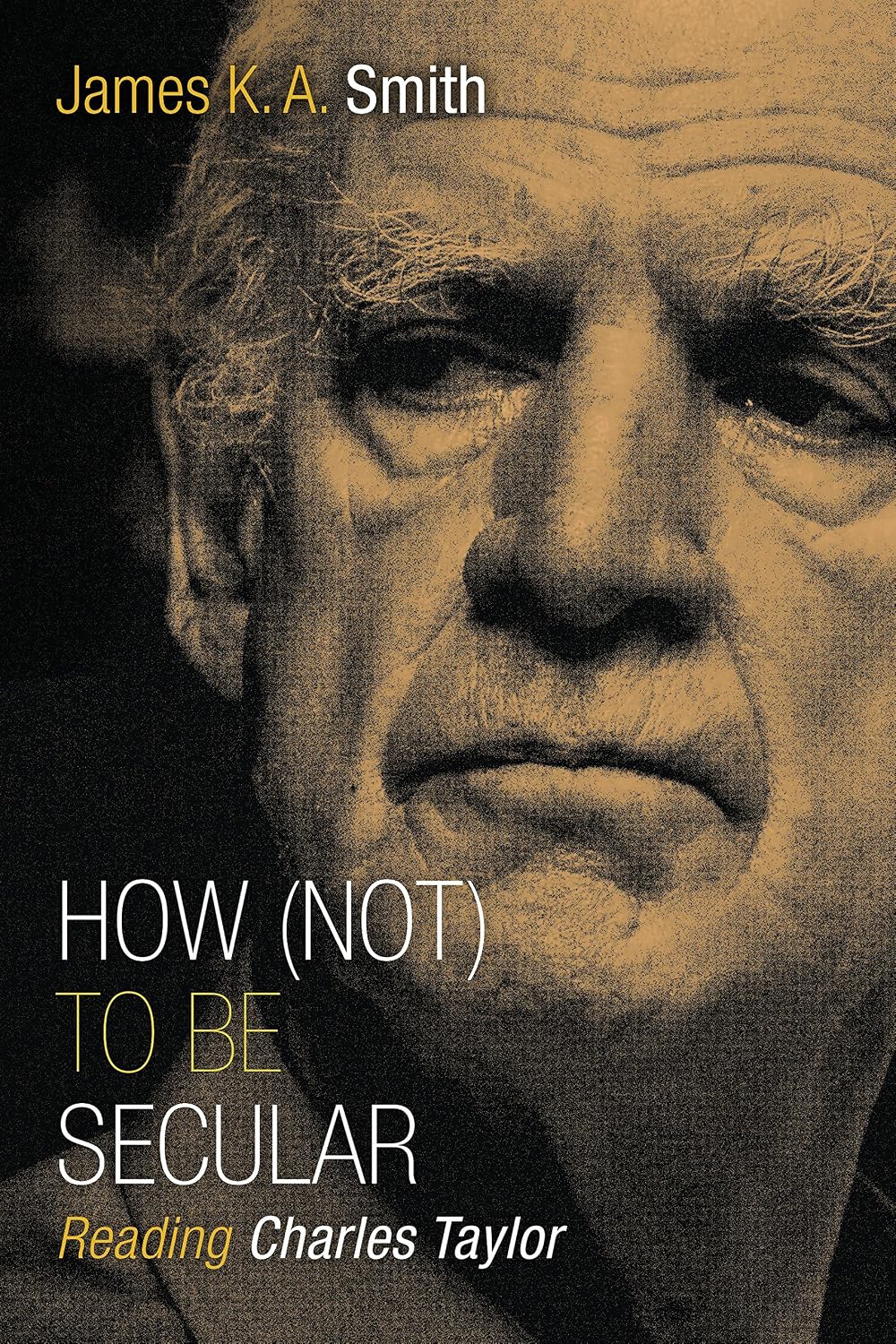 capítulo por capítulo baixar How (Not) to Be Secular: Reading Charles Taylor